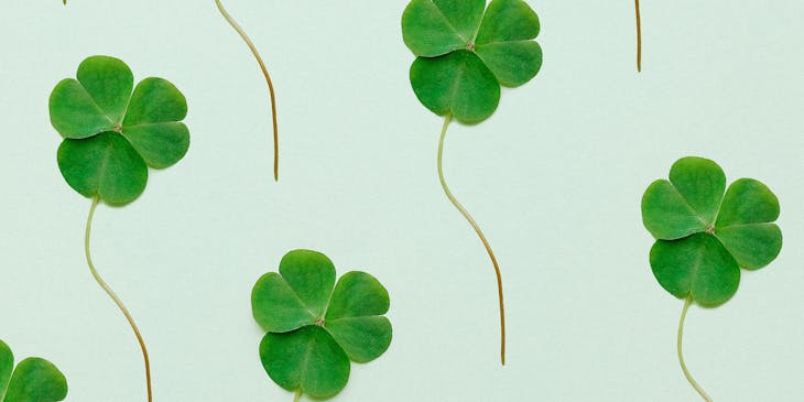 A collage of four-leafed clovers against a green background.