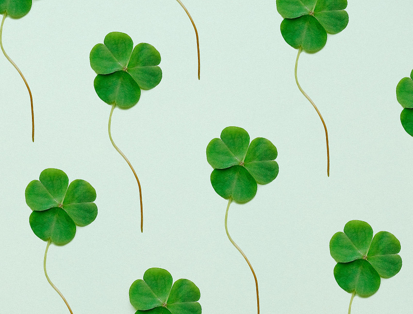 Un collage de tréboles de la suerte de cuatro hojas sobre un fondo verde.