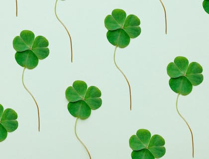 Un collage de tréboles de la suerte de cuatro hojas sobre un fondo verde.