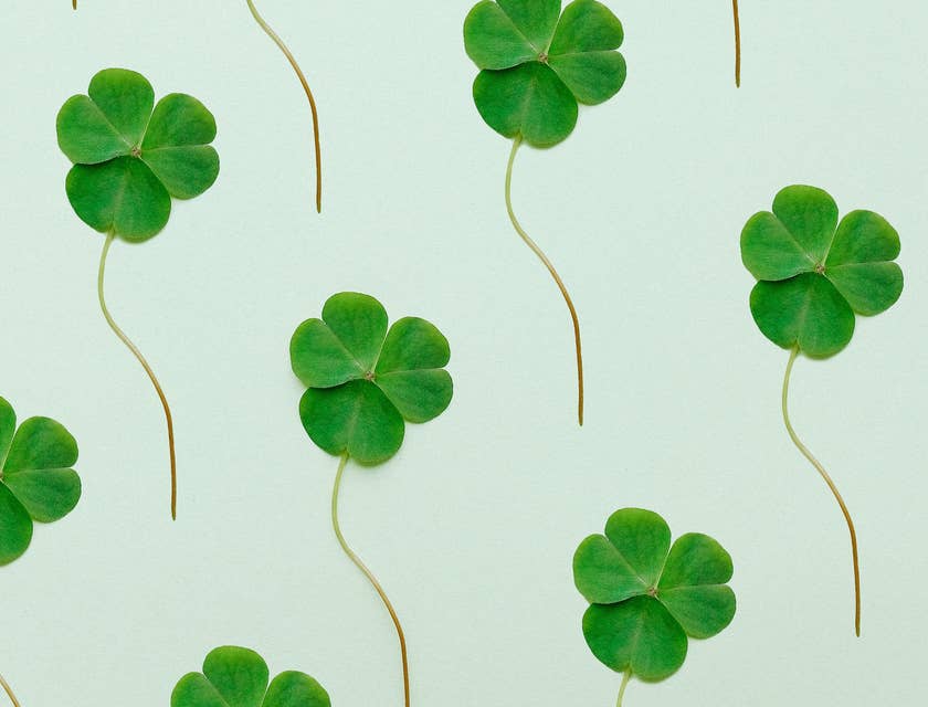 A collage of four-leafed clovers against a green background.