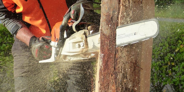 A person cutting a tree trunk with chainsaw.