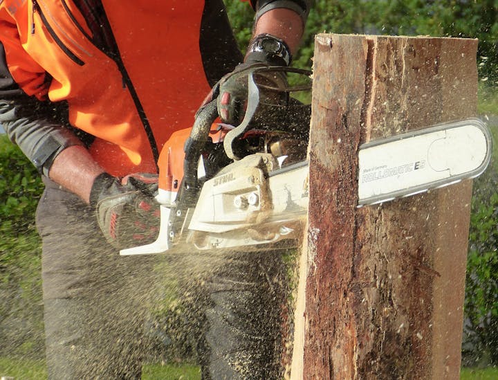 Nomes para serviços florestais