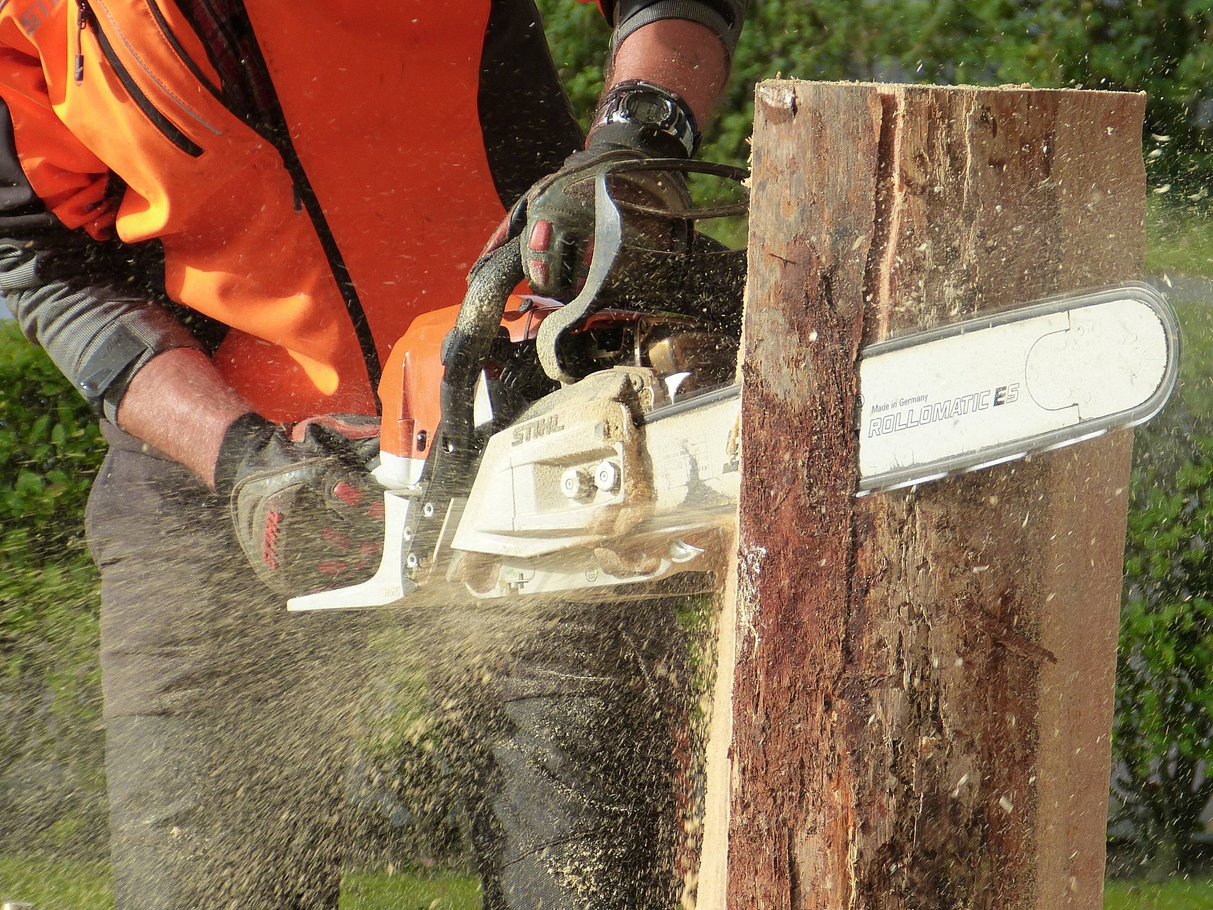 Tree Removal Greenville Ga