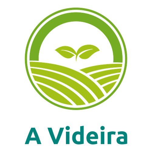 Logotipo para uma loja de artigos religiosos chamada A Videira.