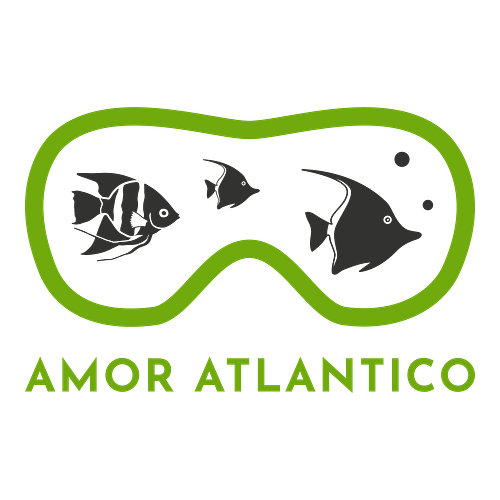 Un logo per un'agenzia viaggio che si chiama Amor Atlantico.