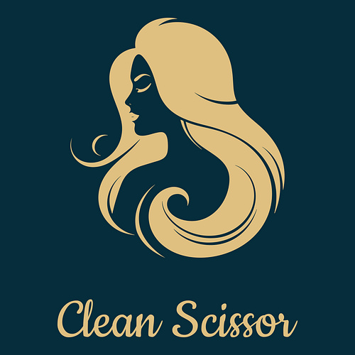 Random logo for a business called Clean Scissor.