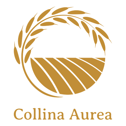 Un logo a tema agricoltura per un'azienda che si chiama Collina Aurea.
