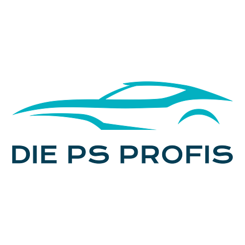 Ein Logo für eine Autowerkstadt namens Die PS Profis.