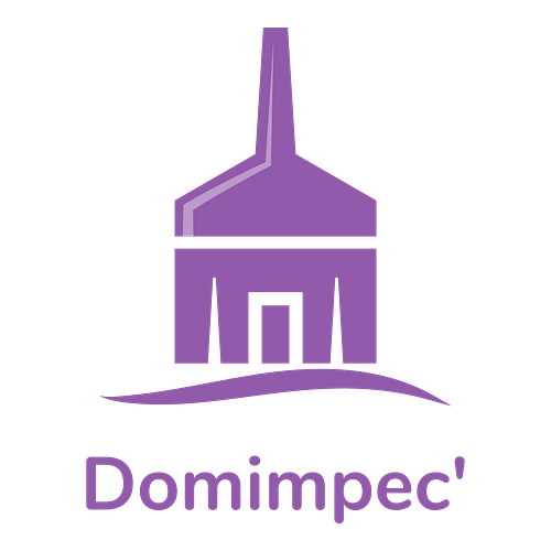 Un logo d'entreprise de nettoyage pour une entreprise appelée DomImpec'.