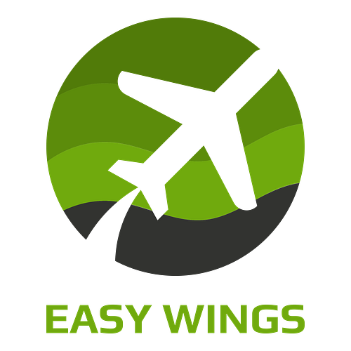 Random logo for a business called Easy Wings.