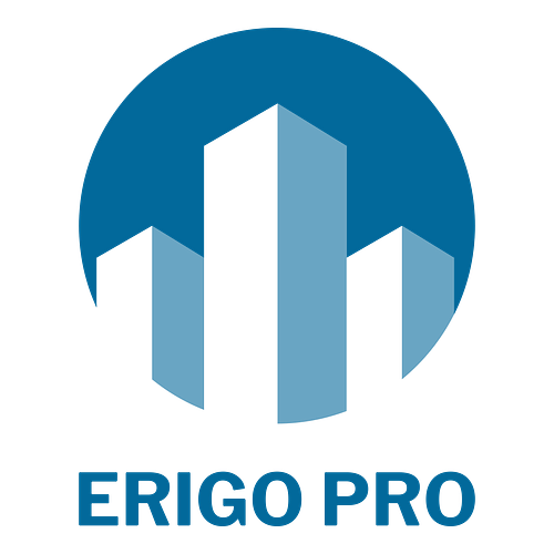 Un logo per un'impresa di costruzioni che si chiama Erigo Pro.