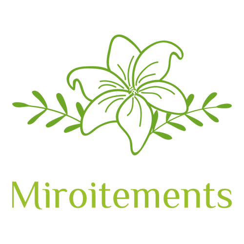 Un logo de cosmétique pour une entreprise appelée Miroitements.