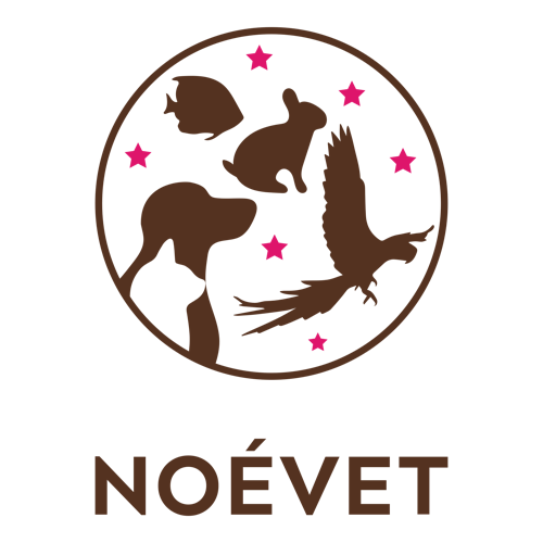 Logotipo bíblico para uma empresa chamada NoéVet.