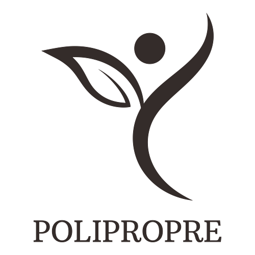 Un logo d'entreprise de nettoyage pour une entreprise appelée PoliPropre.